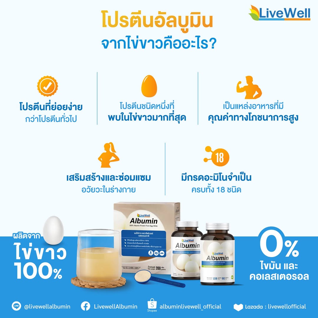 โปรตีนอัลบูมิน คืออะไร