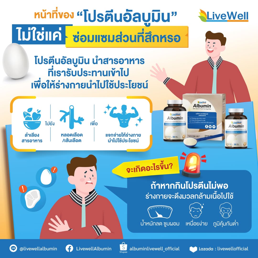 ทำไมโปรตีน อัลบูมิน จึงสำคัญ และจำเป็นต่อร่างกาย